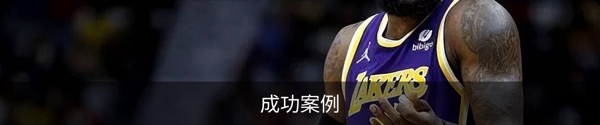 成功案例