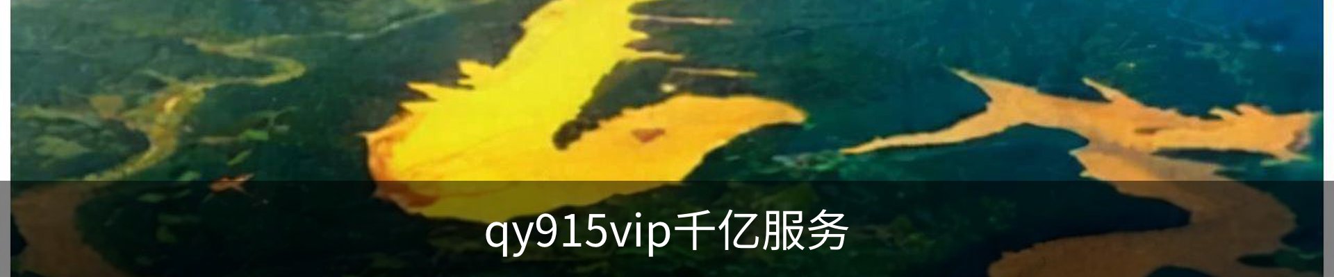 qy915vip千亿服务